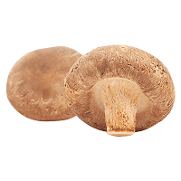Mykopedia vital mushroom Lentinan