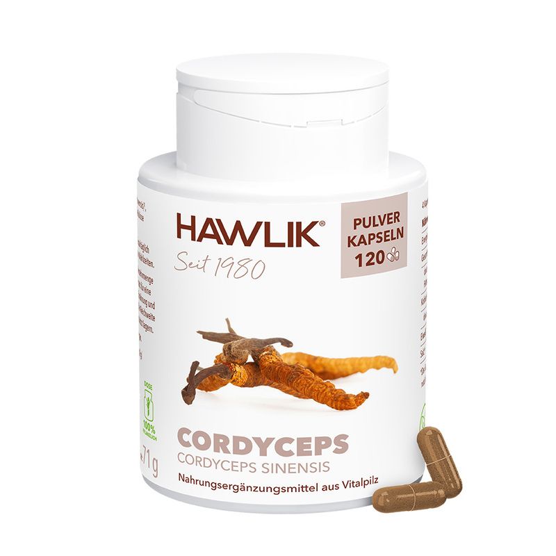 HAWLIK Cordyceps Pulver Kapseln 120